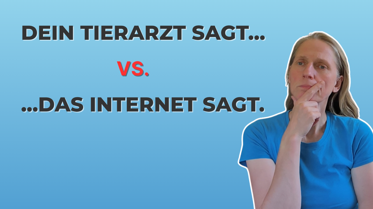 Verunsicherung in der Tiergesundheit: Warum du nicht alles glauben musst – und wie du wieder Klarheit findest